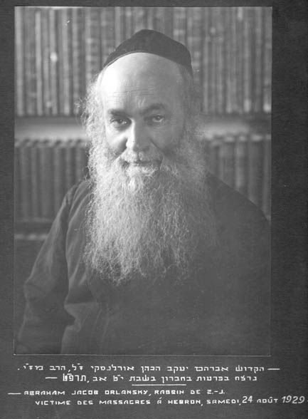 הרב אברהם אורלנסקי