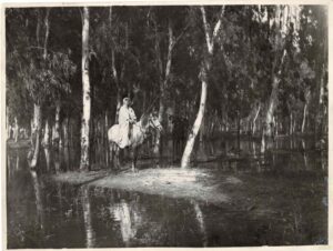 שומר ביער חדרה