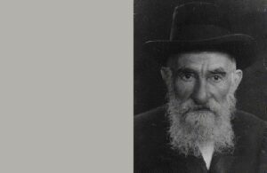 וינשטיין שמחה