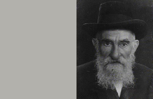 וינשטיין שמחה