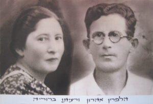הלפרין אהרון וברוריה