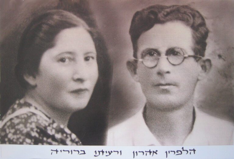 הלפרין אהרון וברוריה