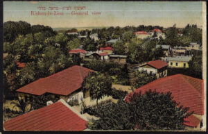 ראשון לציון גגות